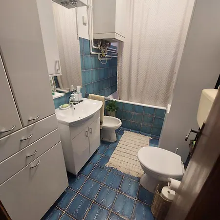 Zorica House